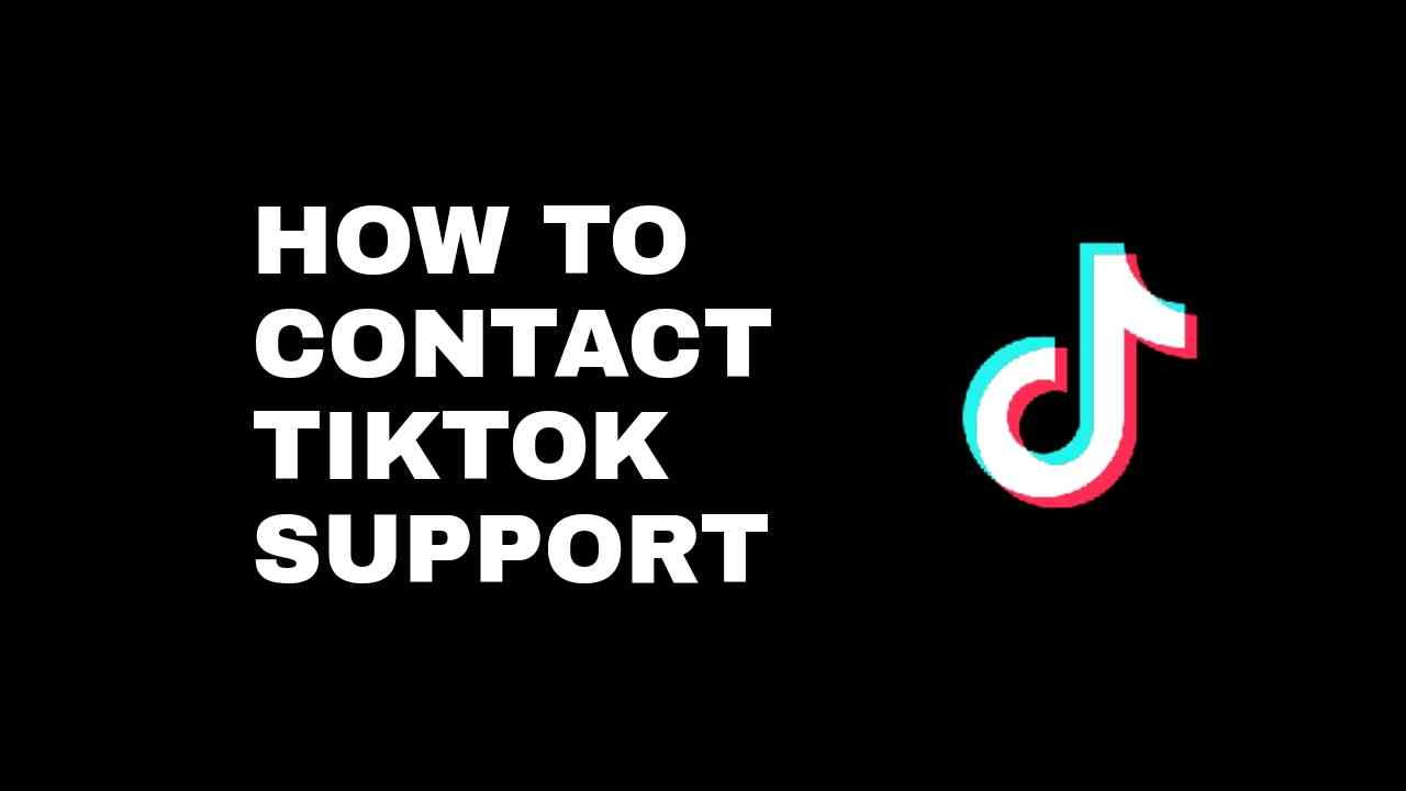 How To Contact TikTok Support 2023 (3 Ways To Reach Support Team)